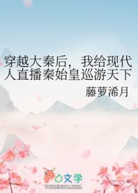 穿越大秦和秦始皇合作入侵