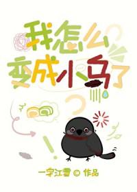 刀剑乱舞女主同人