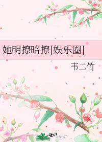 她明撩暗撩娱乐圈免费阅读