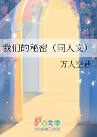 我们的秘密书简介