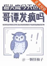 猫头鹰大哥