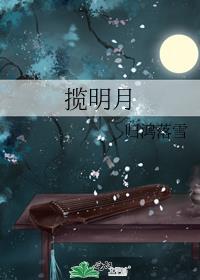 揽明月by