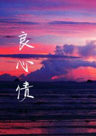 良心作者全部