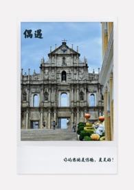 偶遇电影在线观看完整版电视剧