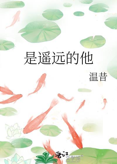 歌词 遥远的她