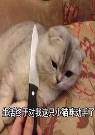 旧爱新欢txt听久