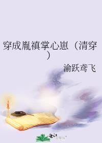 穿成胤禛的文