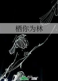 栖你为林秦淮洲txt百度