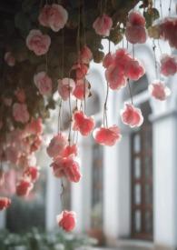 无限电影剧情解析