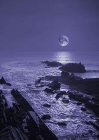 暗夜与黎明剧情介绍