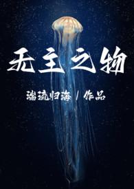 无主之作简介