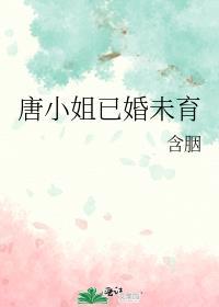 唐小姐已婚未育晋江专栏