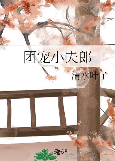 团宠小夫郎TXT