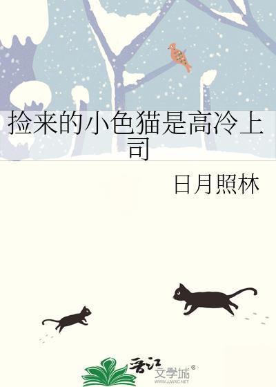 捡来的猫男在线