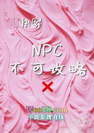 npc攻略游戏