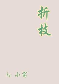 折枝by讲的什么