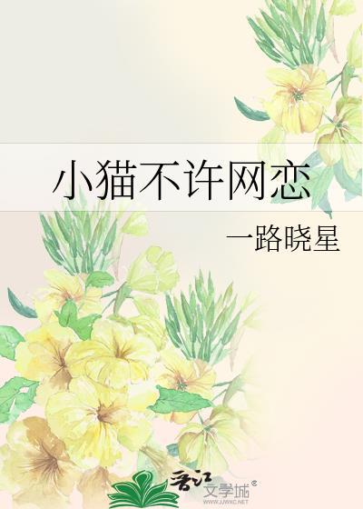 猫不能上网是怎么回事