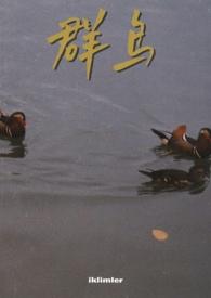 群鸟学艺阅读理解答案