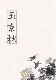 玉京秋裴玉婵最新章节