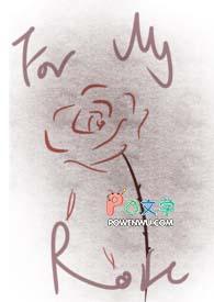 献给我的玫瑰花