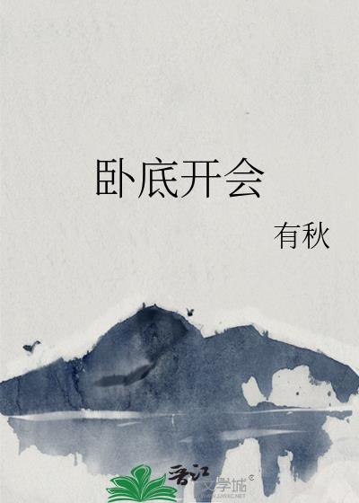 卧底开会作者有秋
