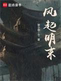 风起民国3
