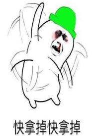 满朝文武皆绿你大结局