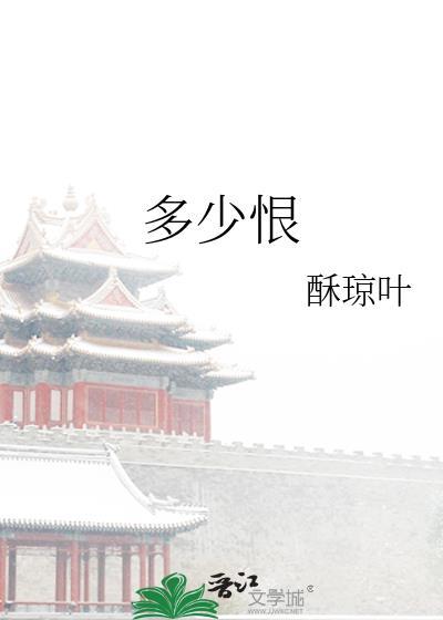 多少恨多少泪
