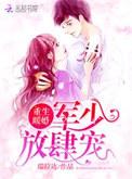 重生暖婚军少放肆宠完结