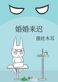 婚婚来迟秦以枝