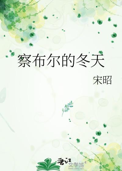 察布尔的冬天122