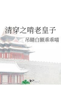清穿之皇长子最新