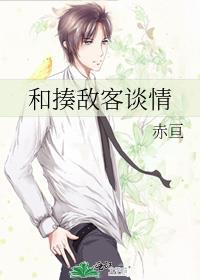 和揍敌客谈情TXT资源