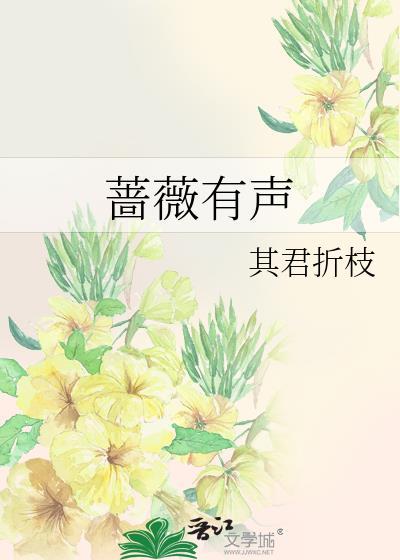 蔷薇txt阅读