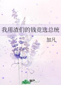 我用渣们的钱竞选总统免费阅读