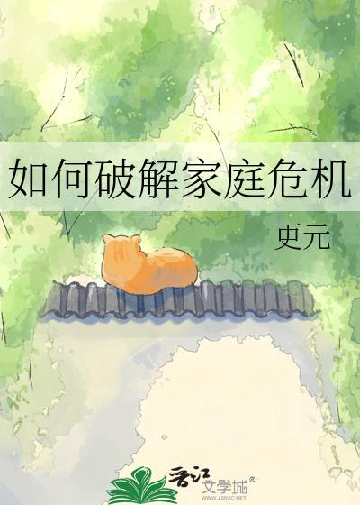 如何破解家庭危机txt
