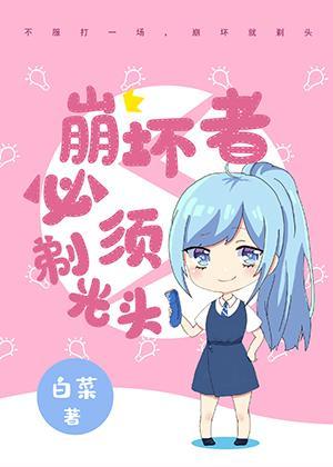 崩坏侓者一共多少个