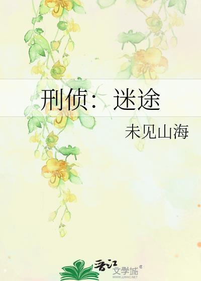 刑侦迷途未见山海百度