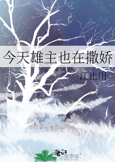 斯卡伊保安公司怎么样