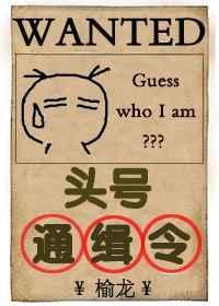 头号通缉令无限流by红茉来铃