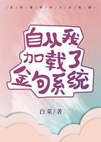 自从我加载了金句系统另一个名字