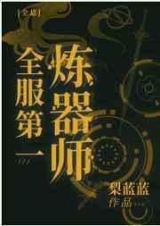 全服第一炼器师无防盗