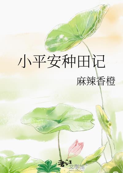 小平安种田记TXT百度