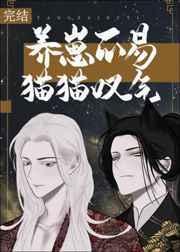 养崽不易猫猫叹气TXT免费阅读