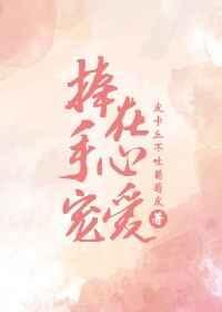 捧在手心的爱下一句