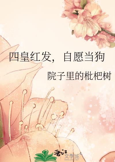 四皇红发是什么果实