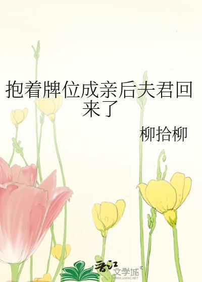 柳拾柳抱着牌位成亲后夫君回来了