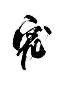 白月光失忆后成了我影卫最新免费