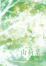 山荷叶花