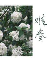 难兄难弟青春